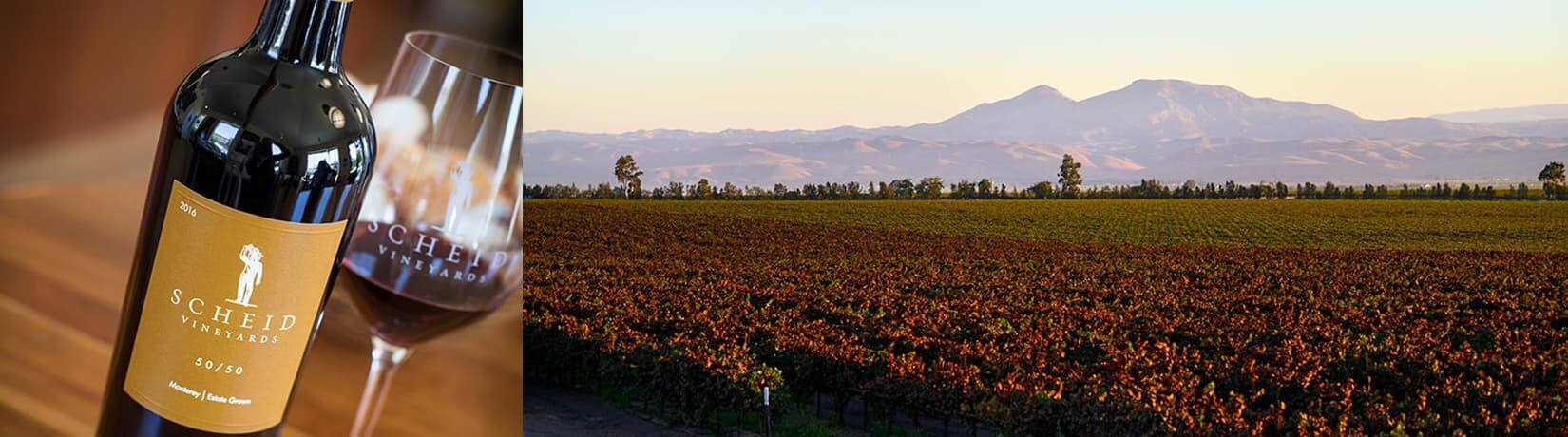 Close up of a wine bottle and glass, next to a photo of the vineyard with mountains in the background