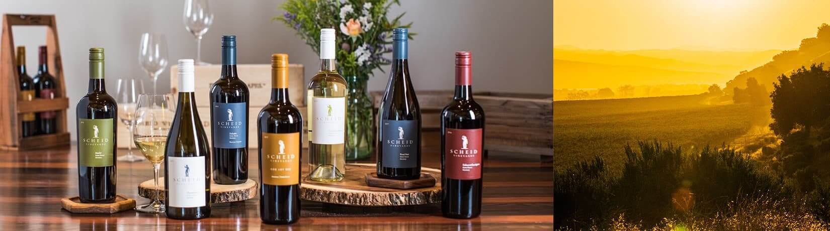Variety of wine bottles displayed on a table, with image of vineyard at sunset